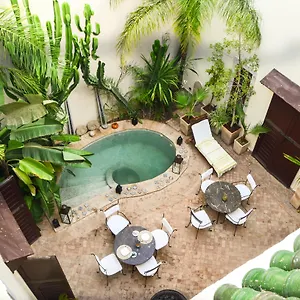 Riad Les Ammonites And Marrakesh